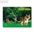 Herma Stickeralbum, Tiger, DIN A5 Hochformat, 10 Stück, 6684
