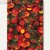 SUSY CARD Weihnachts-Klarsichtbeutel klein, 115x190mm, bedruckt, 10 Stk, 111100
