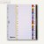 Hetzel Kartonregister DIN A4, 10-teilig +1, Taben blanko farbig, 170g/m², 333181: Produktabbildung 2