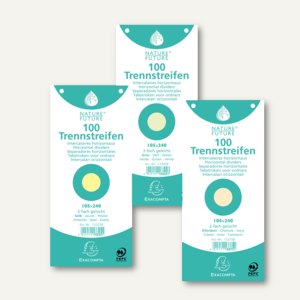 Exacompta Trennstreifen, 105 x 240 mm, grau, 100 Stück, 13385B