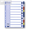 Esselte Plastik-Blanco-Register DIN A4, 10-teilig, 15261