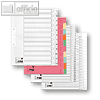 Details zu 5-Star Kartonregister, DI...