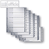 Details zu LEITZ Kunststoff-Register...