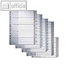 Details zu LEITZ Kunststoff-Register...