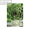 Details zu Herlitz Recycling Ringbuc...