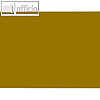 BONG Geschenkpapier "Gold", 50 cm x 100 m, gold, R16013A5/100