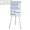 Details zu Magnetoplan Flipcharts, f...