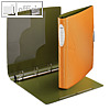 Details zu LEITZ Ringbuch Active Nat...