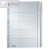 Details zu LEITZ Mylarkarton-Registe...