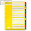 Details zu LEITZ Mylarkarton-Registe...