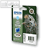 Details zu Epson Claria Photographic...