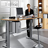 Details zu Wellemöbel UP&DOWN Arbei...