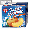 Details zu QuickVit Eistee Durst Lö...