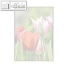 Details zu Sigel Motiv-Papier Spring...