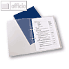 Details zu dataplus Schnellhefter St...