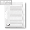 Details zu 5* Kartonregister, 20-tei...