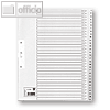 Details zu 5* Kartonregister, 20-tei...