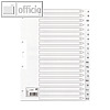 Details zu 5* Kartonregister, 20-tei...