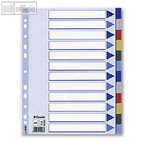 Kunststoff-Blanko-Register DIN A4