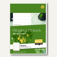 Ringbuch-Blöcke