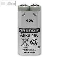Artikelbild: Accupack NiMH 466 für DigtaSonic 420