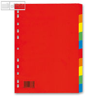 Karton-Register DIN A4