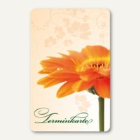 Terminkarte GERBERA