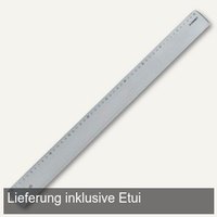 Kunststoff-Lineal im Etui