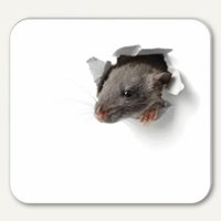 Artikelbild: Mousepad Block Mausi