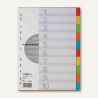 Karton-Register DIN A4
