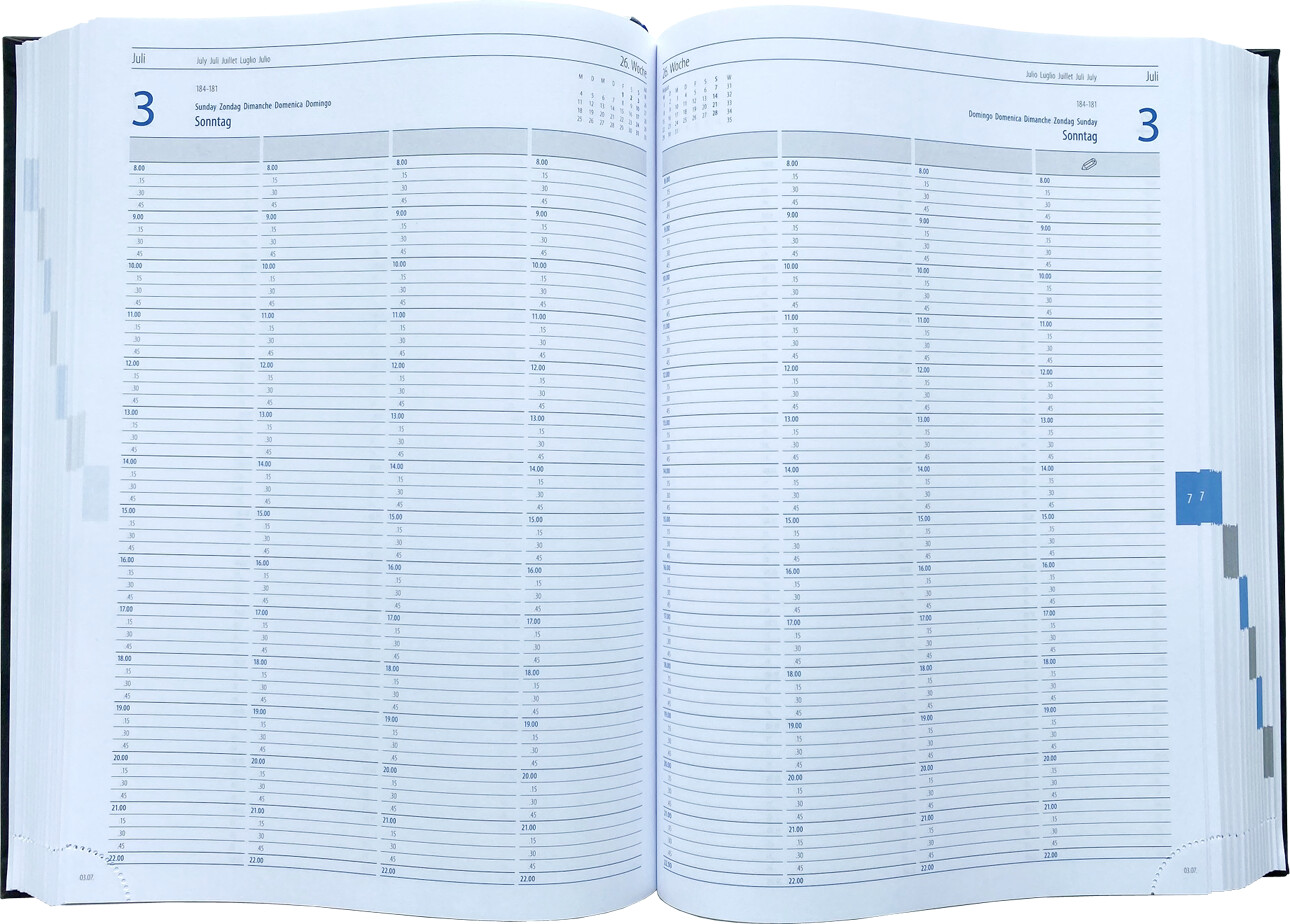 officio Planungsbuch/Praxiskalender DIN A4, 1 Tag/2 Seiten