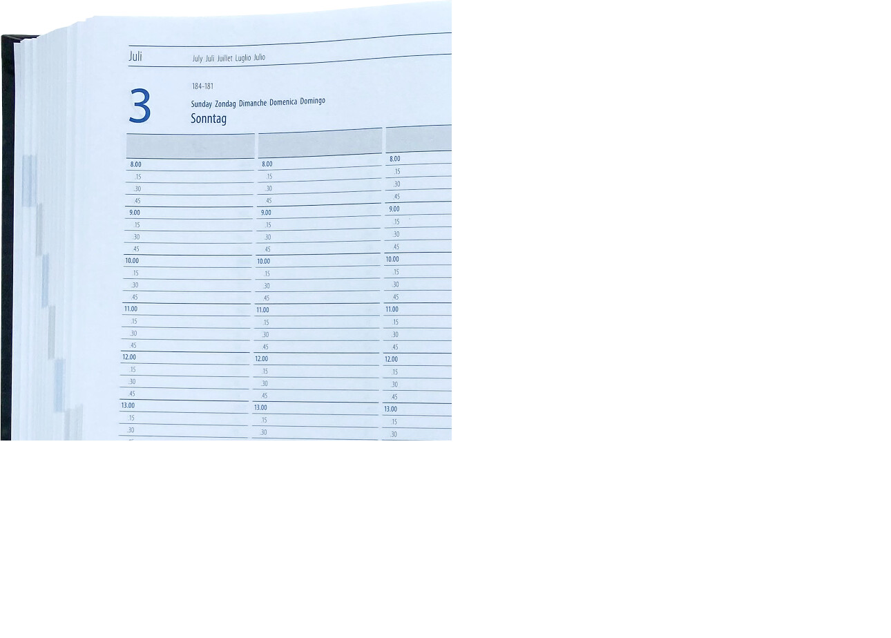 officio Planungsbuch/Praxiskalender DIN A4, 1 Tag/2 Seiten