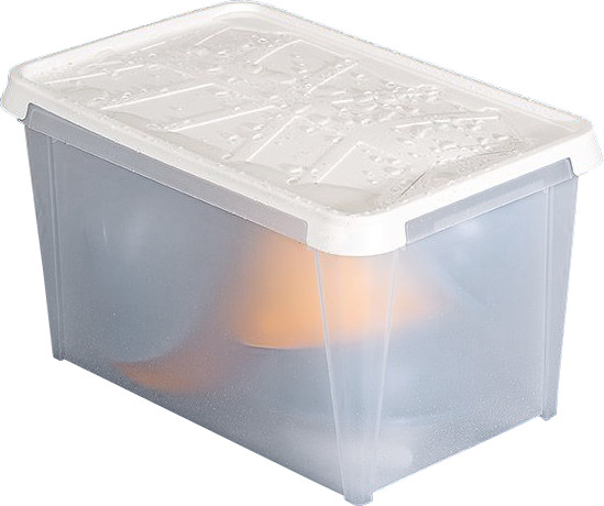 SmartStore DRY Wasserdichte Box 45 Liter, 60 x 40 x 34 cm, 4655506