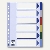 Esselte Kunststoff-Blanco-Register DIN A4, 225 x 297 mm, 6-teilig, 15260
