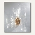 Folia Zellglasbeutel, 115 x 190 mm, transparent, 100 Stück, 281/00