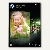 HP Everyday Fotopapier A4, glossy 200 g/m², 100 Blatt, Q2510A