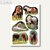 Herma Schmucketiketten DECOR, Pferdefotos, Papier, 10 x 3 Bl., 5443