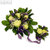 Blumenstrauß 'Zur Geburt - Junge', kleiner m. großem Strauß verbunden, 121701