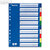 LEITZ Kunststoff-Register, blanko 10-teilig, DIN A4, PP, mehrfarbig, 1256-60-00