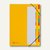 Pagna Ordnungsmappe Deskorganizer, 12 Fächer, Karton, gelb, 44133-05