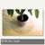Bodenschutzmatte für Teppichböden, (Ø)60 cm, PET, transparent, 52N0000038