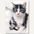 Zeichnungsmappe Katze:Produktabbildung 1