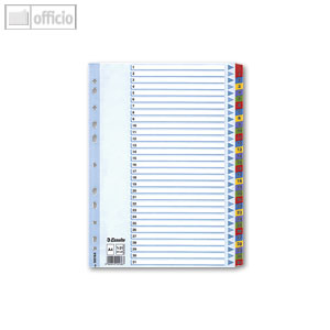 Mylar Karton Register Zahlen 1 - 10