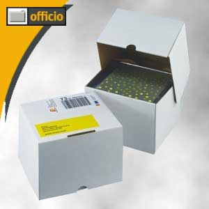 Versandverpackung für 10 CDs im Case