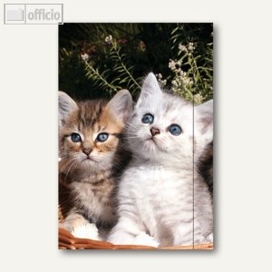 Sammelmappe mit Motiv Katze mit Spannband