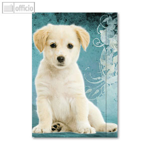 Sammelmappe mit Motiv Hund mit Spannband