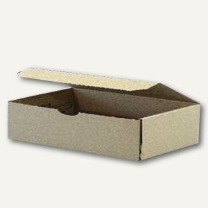 Klappdeckelbox 230 x 120 x 40 mm