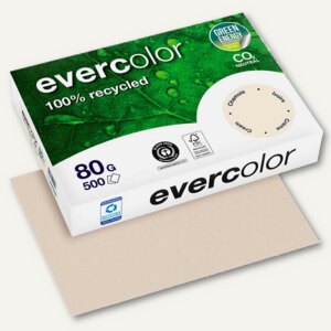 Papier EVERCOLOR PASTELL