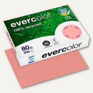 Papier EVERCOLOR PASTELL