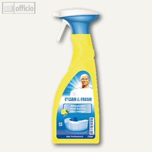 Allzweckreiniger Spray